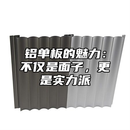 铝单板的魅力：不仅是面子，更是实力派