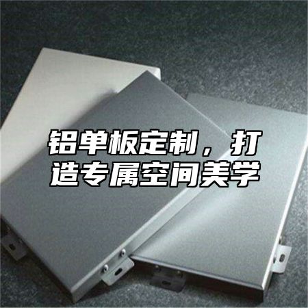 铝单板定制，打造专属空间美学