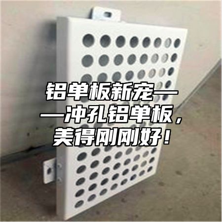 铝单板新宠——冲孔铝单板，美得刚刚好！