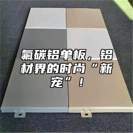 氟碳铝单板，铝材界的时尚“新宠”！