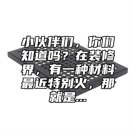 小伙伴们，你们知道吗？在装修界，有一种材料最近特别火，那就是...