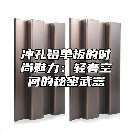 冲孔铝单板的时尚魅力：轻奢空间的秘密武器